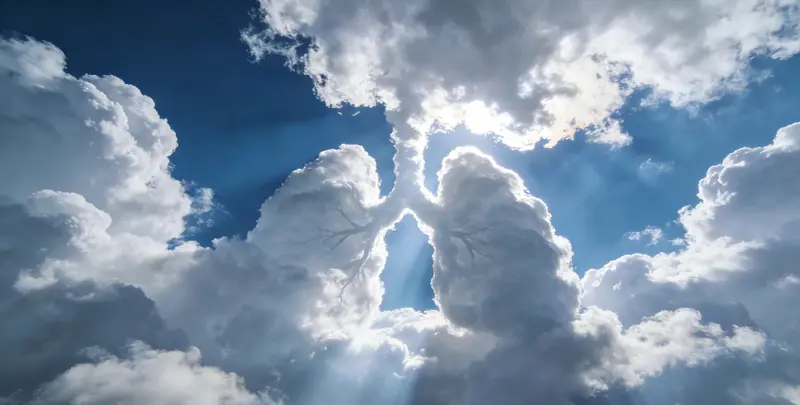 海东肺癌11基因检测组织版图片1