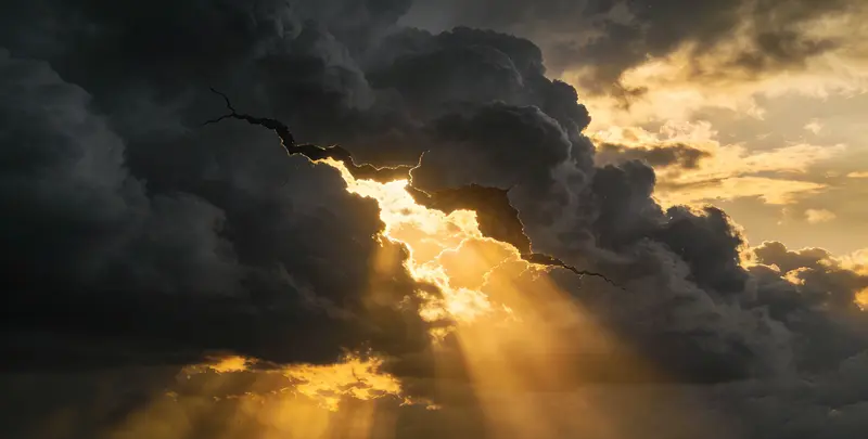 海东肺癌靶向120基因检测（组织）图片1